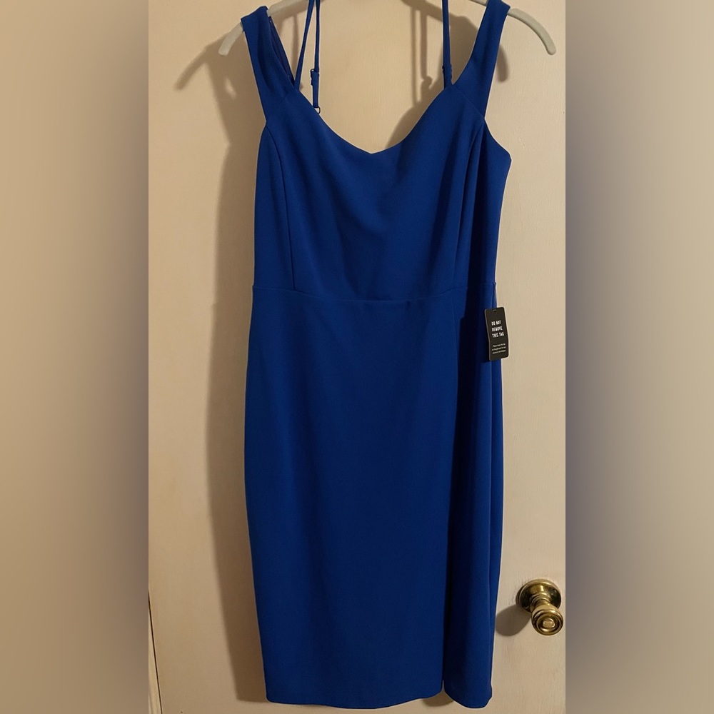 Express Blue Dress